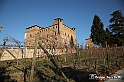 VBS_9836 - La Morra, Barolo, Grinzane Cavour, Pollenzo